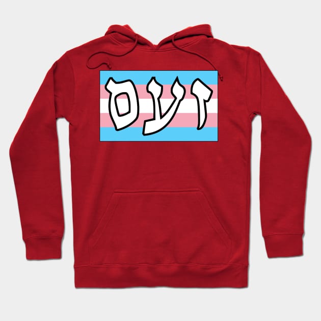 Zaam - Wrath (Trans Pride Flag) Hoodie by dikleyt